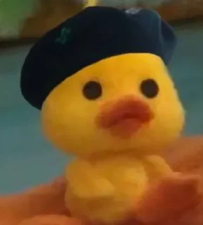 🤏 emoji Duck Telegram sticker 6 of 23