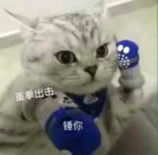 😡 emoji 玩体育做代理找我 @xlong1 Telegram sticker 13 of 120