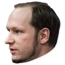 😑 emoji Breivik Telegram sticker 11 of 14