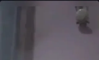 Sticker from Tera's kang pack