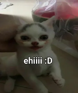 😺 emoji :) Telegram sticker 7 of 64