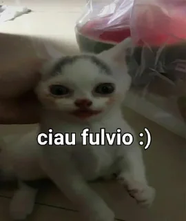 😺 emoji :) Telegram sticker 17 of 64