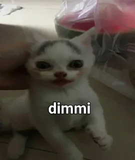 😺 emoji :) Telegram sticker 23 of 64