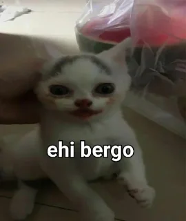 😺 emoji :) Telegram sticker 6 of 64