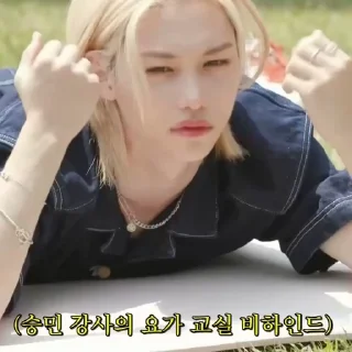 Sticker from IdolHuman BTS @skzstickers