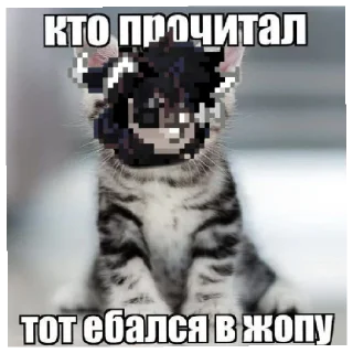 😱 emoji 〽️СтикерПак–Вписка пт✨ Telegram sticker 14 of 38