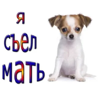 😶 emoji 〽️СтикерПак–Вписка пт✨ Telegram sticker 18 of 38
