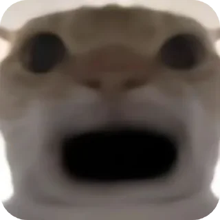 🤲 emoji Chinese cat Telegram sticker 10 of 27