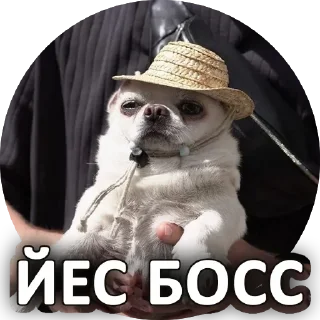 👌 emoji Собака покусякі Telegram sticker 11 of 15