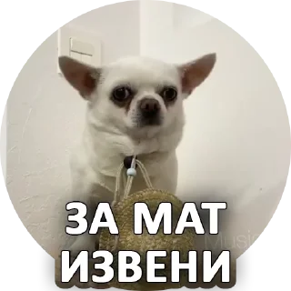 😔 emoji Собака покусякі Telegram sticker 13 of 15