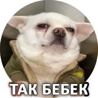 😕 emoji Собака покусякі Telegram sticker 9 of 15