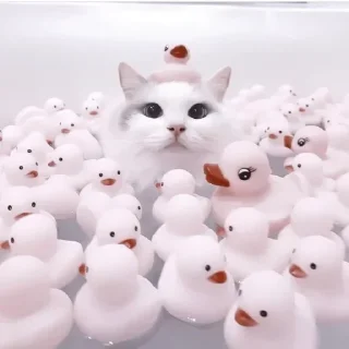 🍨 emoji Собака покусякі Telegram sticker 14 of 15