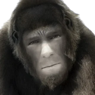 🦍 emoji Lazanga @Bratvaexp Telegram sticker 7 of 33