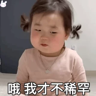 😤 emoji 猪皮A的河温BB @HRzpa Telegram sticker 6 of 43
