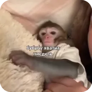 Sticker from Пак нейрика