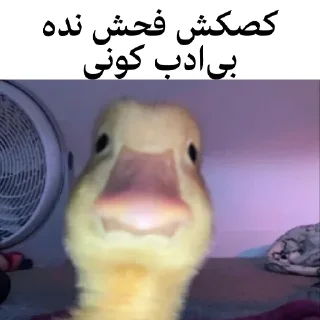 🐤 emoji @wicvio | اردک سخنگو Telegram sticker 18 of 38