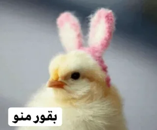 😂 emoji So🌸asl🐣 Telegram sticker 19 of 91
