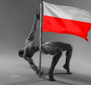🇵🇱 emoji Poland State Telegram sticker 9 of 83