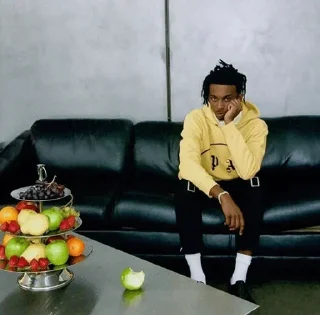 ⛓️ emoji Playboi Carti @BarbieBoySwag Telegram sticker 8 of 120