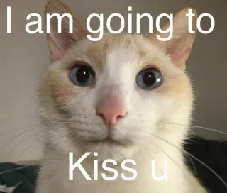 😘 emoji Nut Cringe At All - @nutcringeatall Telegram sticker 15 of 120