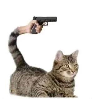 🔫 emoji Nut Cringe At All - @nutcringeatall Telegram sticker 10 of 120