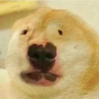 😳 emoji Nut Cringe At All - @nutcringeatall Telegram sticker 20 of 120