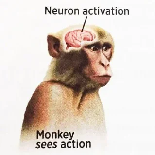 Sticker from Monke