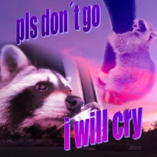 😢 emoji Sad racoons Telegram sticker 8 of 42
