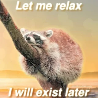 🦉 emoji Sad racoons Telegram sticker 1 of 42