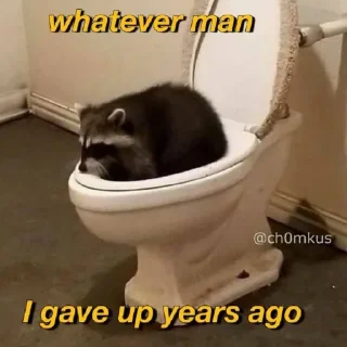 😢 emoji Sad racoons Telegram sticker 2 of 42