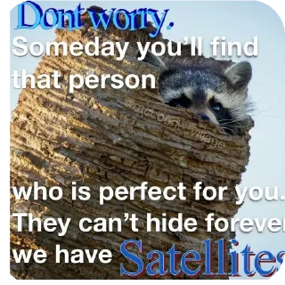 🖼 emoji Sad racoons Telegram sticker 18 of 42