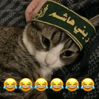 😂 emoji @wicvio | خندگی Telegram sticker 6 of 38
