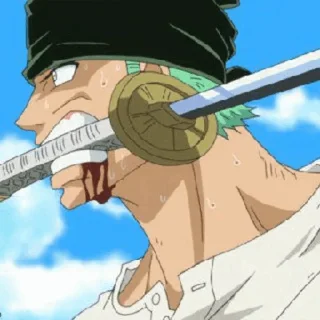 🥃 emoji Roronoa Zoro Telegram sticker 17 of 95