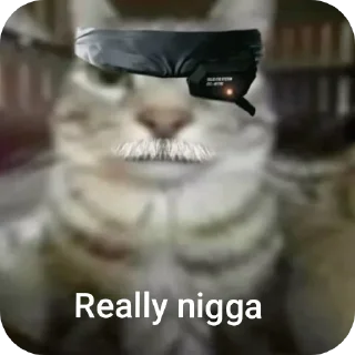 🤔 emoji @KJ1940 the man who hated the niggs Telegram sticker 2 of 70
