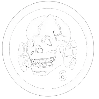 💀 emoji Death in June Telegram sticker 7 of 34