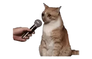 🎤 emoji Tem.'s Sticker Pack 2 Telegram sticker 8 of 62