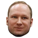 😀 emoji Breivik Telegram sticker 14 of 14