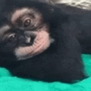🙃 emoji адская дрочильня Telegram sticker 22 of 56
