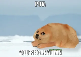 🍆 emoji Cheems and Doge Diviiv Telegram sticker 23 of 36