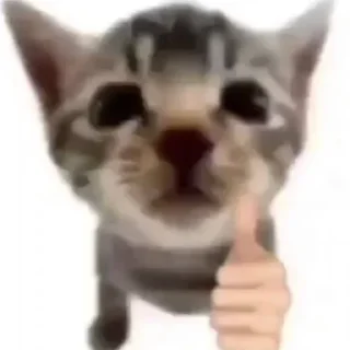 👍 emoji ммммм киці Telegram sticker 13 of 71