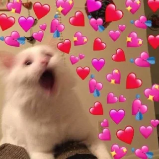 ❤️ emoji Memes Pack Vol1 Telegram sticker 8 of 59