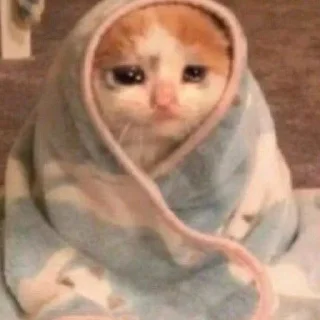 😔 emoji Memes Pack Vol1 Telegram sticker 13 of 59