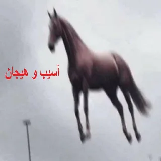 🐴 emoji شکنجه خروس و توپ اصولی rebirth Telegram sticker 6 of 57