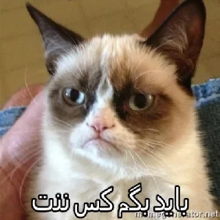 👻 emoji کس ننت Telegram sticker 11 of 55