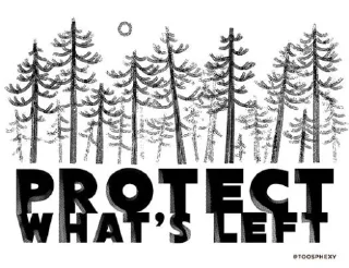 🌲 emoji ECODEFENSE🌲🪵🛠 Telegram sticker 15 of 83