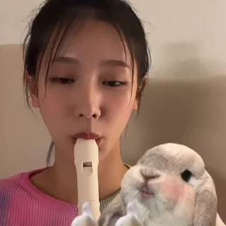 🐼 emoji miyeon ' @SM0TN Telegram sticker 6 of 40