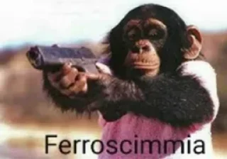 🐵 emoji Scimmia Telegram sticker 6 of 25