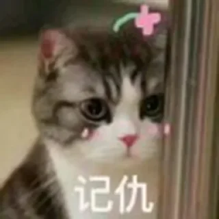 💻 emoji 小坤的贴纸集合 @Chushoula777 Telegram sticker 5 of 115