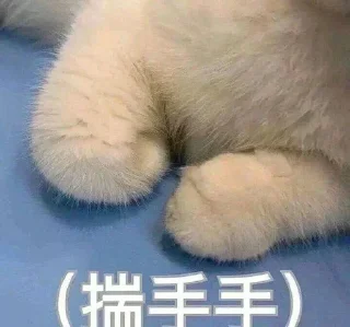 🎥 emoji 小坤的贴纸集合 @Chushoula777 Telegram sticker 10 of 115