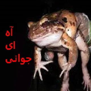 😩 emoji شکنجه خروس و توپ اصولی Telegram sticker 11 of 59